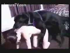 Brunette bestiality sexy sex with her dog in advance of fucking